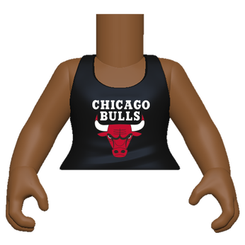 PY: Torso- FM SK5 NBA S1- Bulls, Image 1